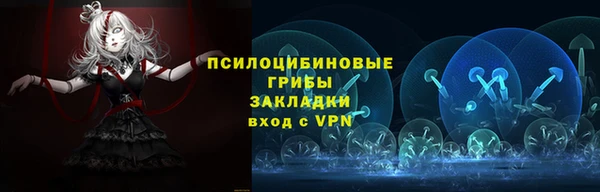 ECSTASY Няндома